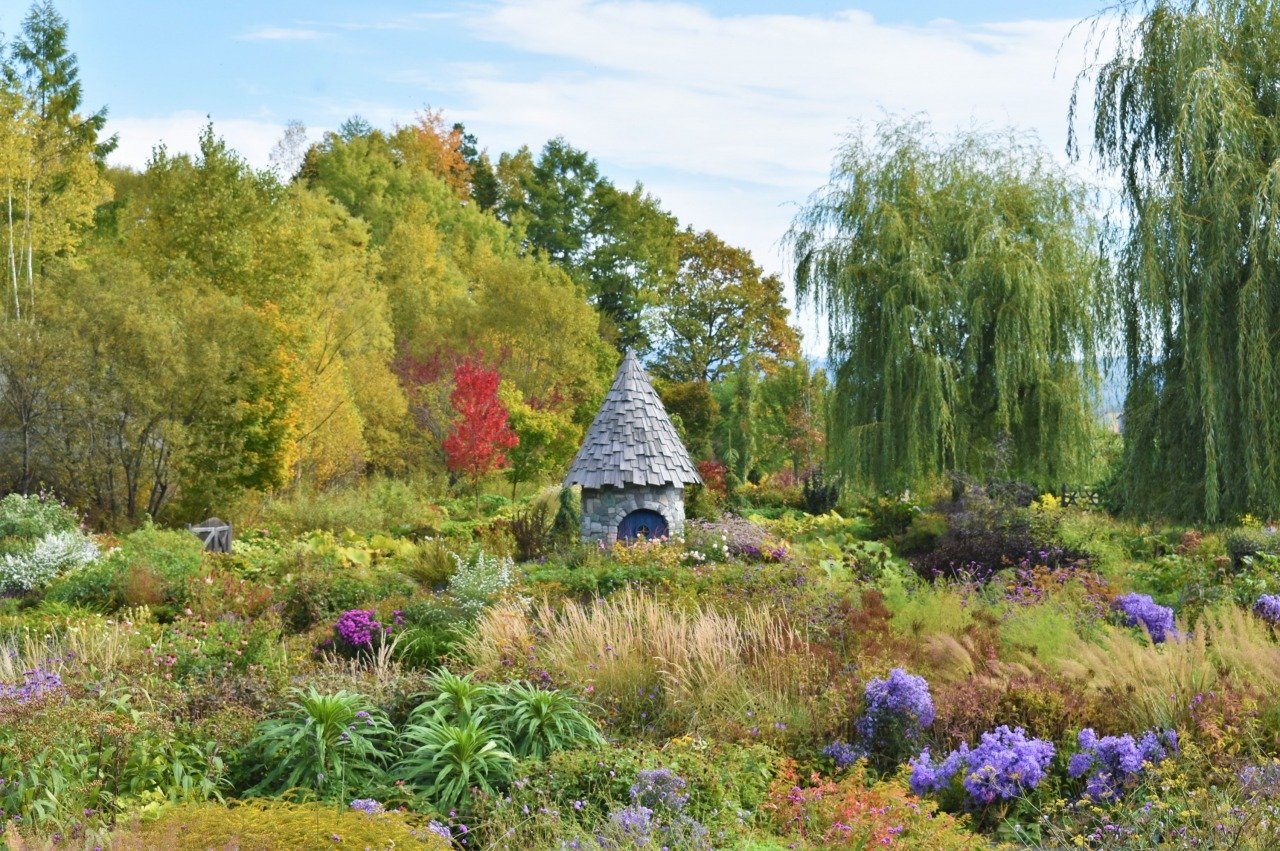 🌿 우에노 팜(우에노 파무) 이미지 6